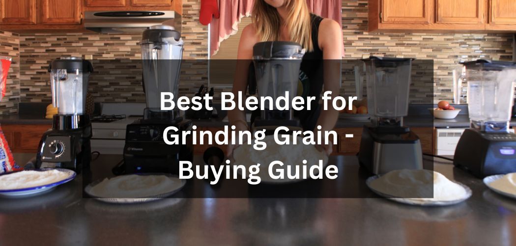 Top 6 Best Blender for Grinding Grains Reviews in 2022